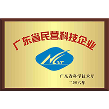 廣東省民營科技